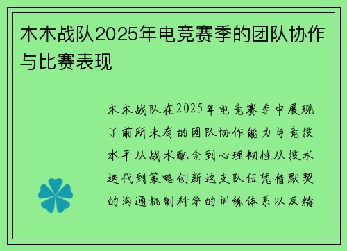 木木战队2025年电竞赛季的团队协作与比赛表现